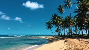Relax and Unwind in the Dominican Republic