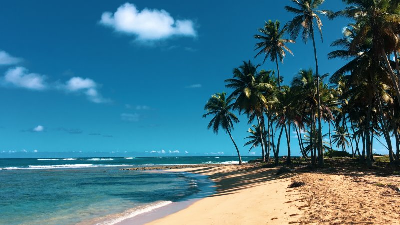 Relax and Unwind in the Dominican Republic